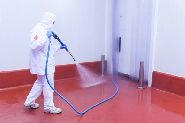 Best Building Exterior Washing  in Scaggsville, MD